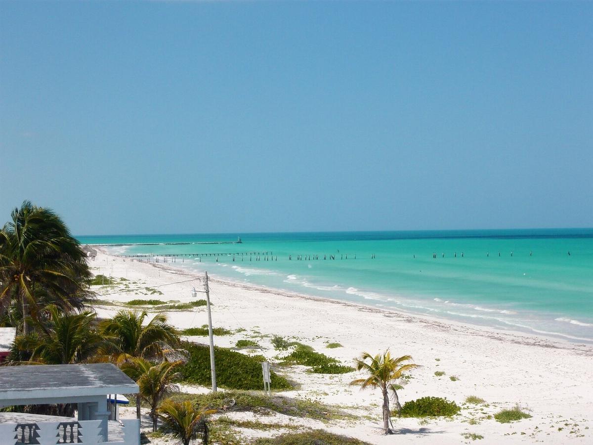אל קויו Antigua Lodge, 70 M From Sandy Beach מראה חיצוני תמונה