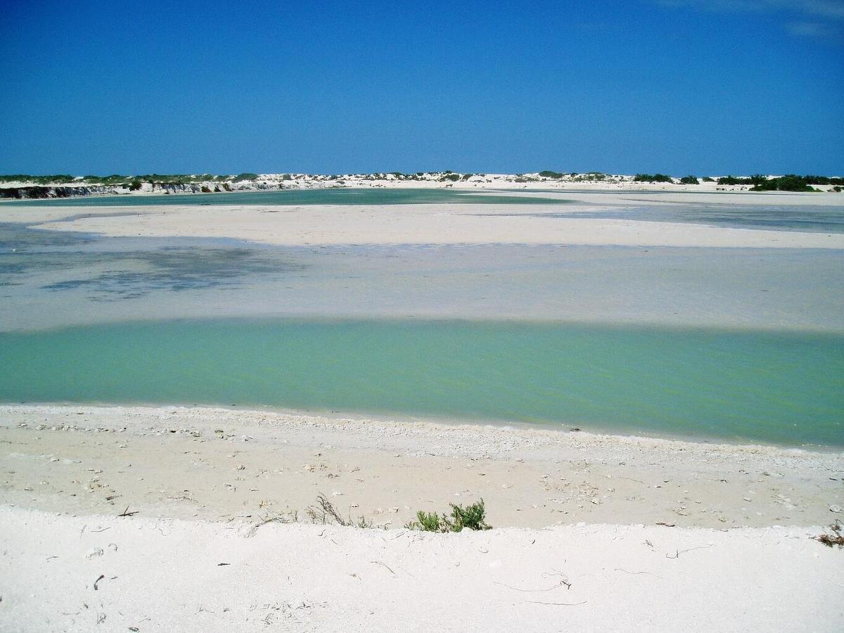 אל קויו Antigua Lodge, 70 M From Sandy Beach מראה חיצוני תמונה